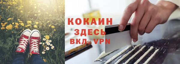 гидра Армянск