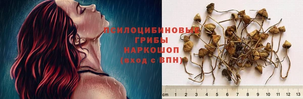 гидра Армянск