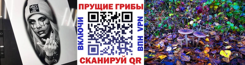 Псилоцибиновые грибы ЛСД  даркнет клад  Приозерск  блэк спрут как войти 